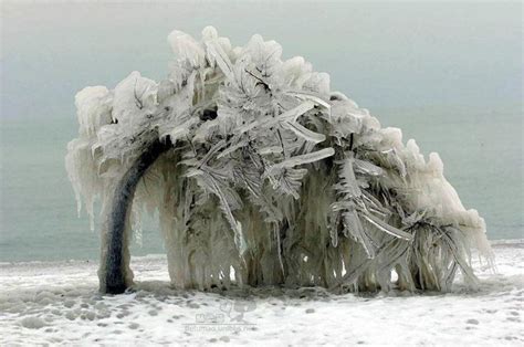 The Beauty Of Ice Storms | Ice storm, Amazing nature, Nature