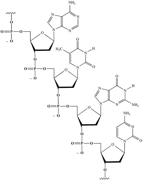 Illustrated Glossary of Organic Chemistry - Furanose