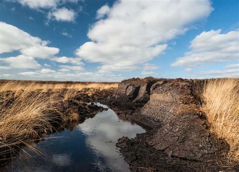 Why You Should Care About Peat Bogs