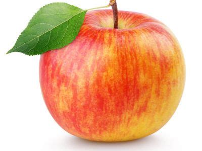 Pristine Apple Facts: Learn How To Grow Pristine Apples At Home