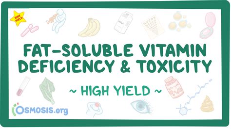 Fat-soluble vitamin deficiency and toxicity: Pathology review: Video, Causes, & Meaning | Osmosis