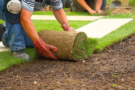 Landscapers Near Me - Best Landscaping Companies (Free Estimates) (2023)