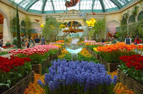Spring at the Bellagio, Las Vegas | Flowers las vegas, Garden zen, Bellagio