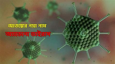 AdenoVirus In Bengal: চওড়া হচ্ছে অ্যাডেনোর মারণ থাবা, রইল বাঁচার উপায় - West Bengal - Aaj Tak ...