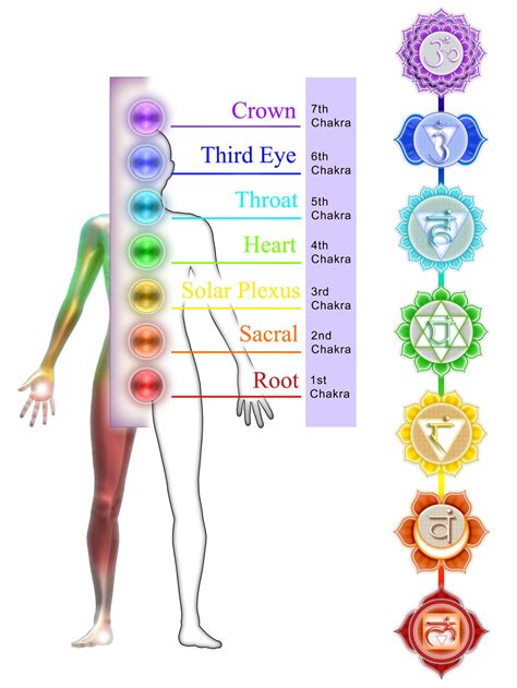 Loosen Your Pelvic Floor, Open Your Root Chakra! — Chulel