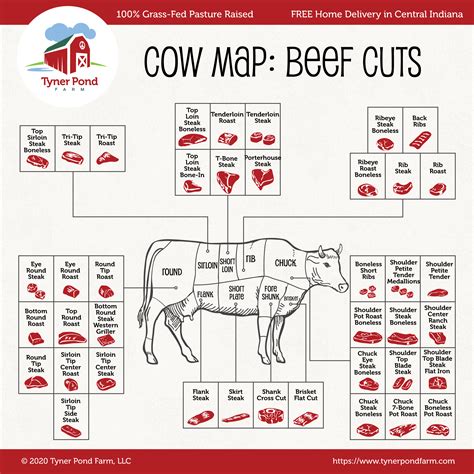 Diagram Of Cuts Of Meat On A Cow