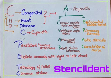 Congenital Defects Tutorial Congenital Heart Defects