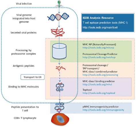 | Different prediction tools are available in the Analysis Resource... | Download Scientific Diagram