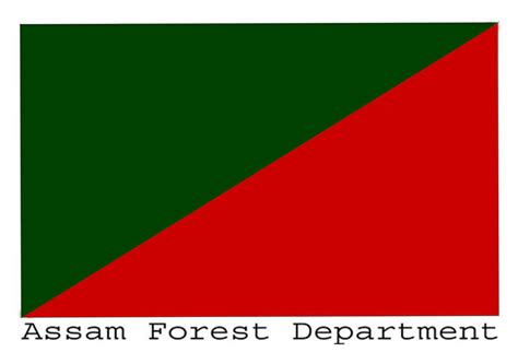 Assam Forest Department Jobs 2024 New Exclusive Notification