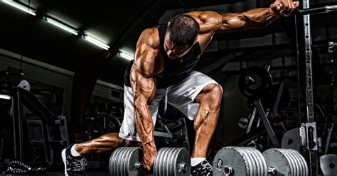 The Ultimate 5 Day Split Workout for Maximum Gains - Fitnexthub