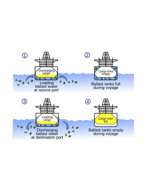 Ballast Water Management and Its Implications Regarding Invasive ...