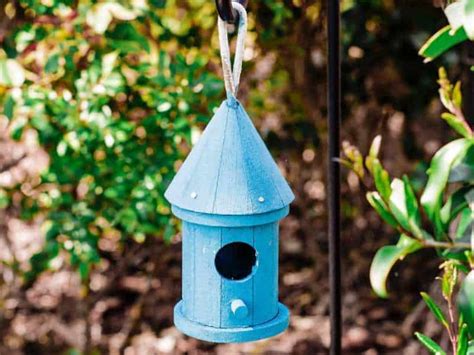 Must Have Squirrel Proof Bird Feeder Pole For Your Feeders