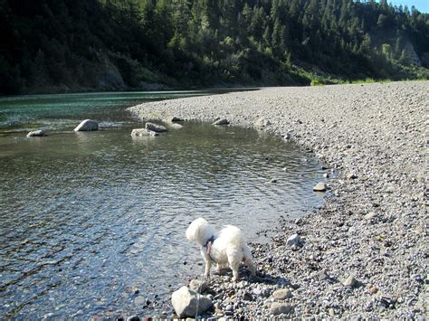 On the Eel River | Campground borders a wildlife preserve an… | Flickr