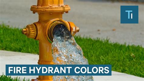 different colors of fire hydrants - Isreal Roller