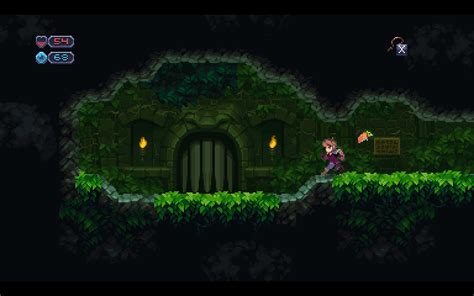 (Review) Chasm – The Videogame Backlog