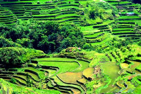 Filipinas Beauty: Banaue Rice Terraces of Ifugao Mountain, Philippines