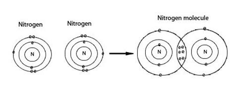 Naughty Nitrogen – Hirschman Water & Environment, LLC