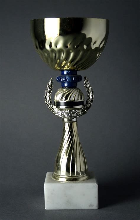 trophy Free Photo Download | FreeImages