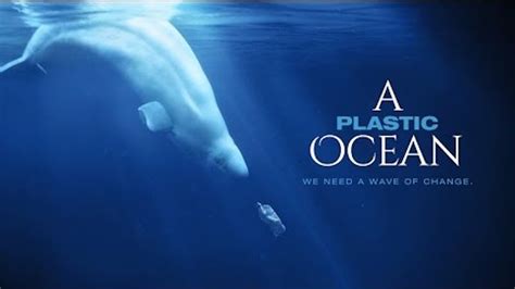 A plastic ocean | Plastic ocean, Ocean, Documentaries