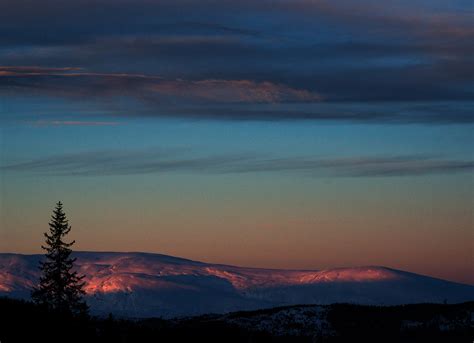 Winter light returns to Earth's far north on EarthSky | Today's Image | EarthSky