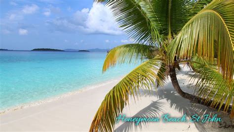 Spotlight on - Honeymoon & Salomon Beaches, St John - On-Island Times US Virgin Islands