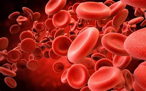 This Is Why Blood Is Red (Since You've Always Wondered) | The Healthy