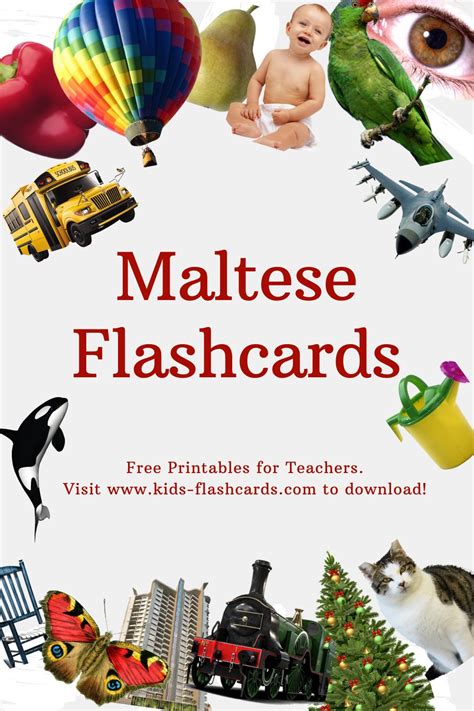 1000+ Maltese Flashcards Online for Toodlers (PDF files)