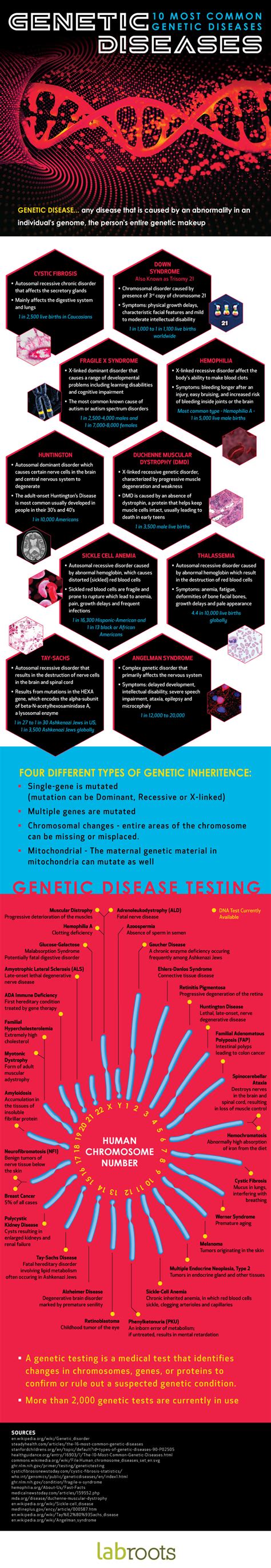 10 Most Common Genetic Diseases Infographic | Infographics