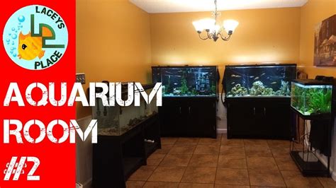 AQUARIUM ROOM #2 - YouTube