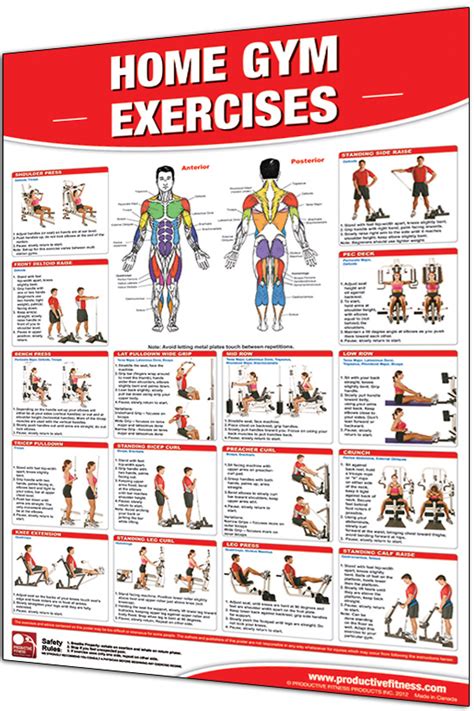 Productive Fitness 24” x 36” Laminated Fitness Poster / Wall Chart - Home Gym Exercises (CHGL)