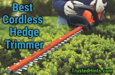 Best 7 Cordless Hedge Trimmers in 2022 | Reviews