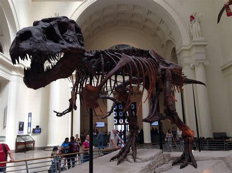 Dinosaur Museum Exhibits in the US | Ticket to Learn