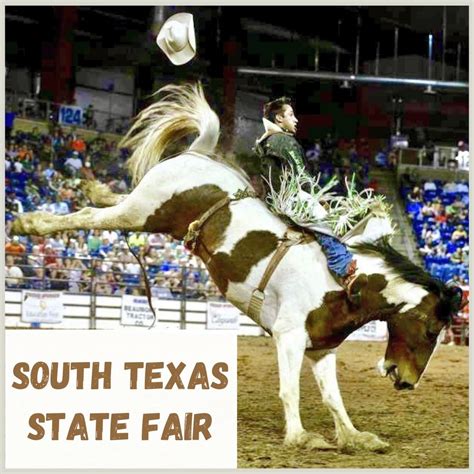 State Fair Of Texas 2024 Livestock Show - Kati Sascha