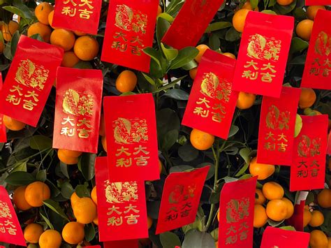 7 Chinese New Year traditions to fill your holiday with joy, luck and ...