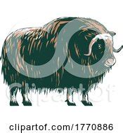 Royalty Free Musk Oxen Clip Art by patrimonio | Page 1