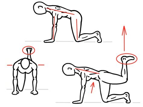 Quadruped Hip Extension