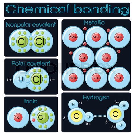 Types of chemical bonding diagram. ... | Stock vector | Colourbox