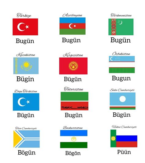 Turkic language(Türk dilleri) | Türk dilleri, Türkler, Dil