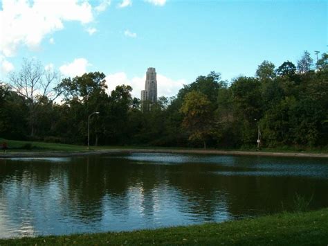 Schenley Park, PA | Pittsburgh Plumbing