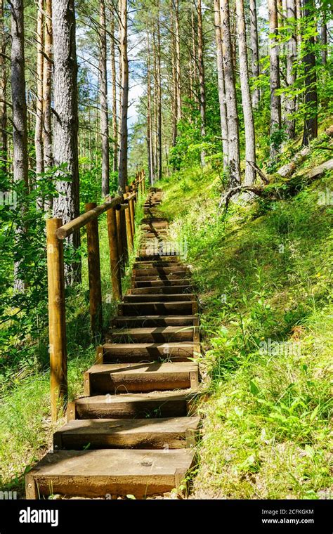 a walking path made of wooden steps in a forest in a hilly area Stock ...