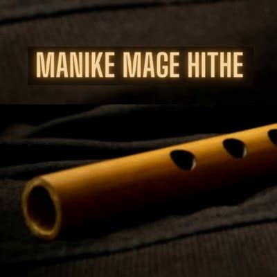 Manike Mage Hithe (Flute Instrumental) - Acoustic Trips | Shazam