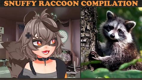 Snuffy The Raccoon Face Reveal