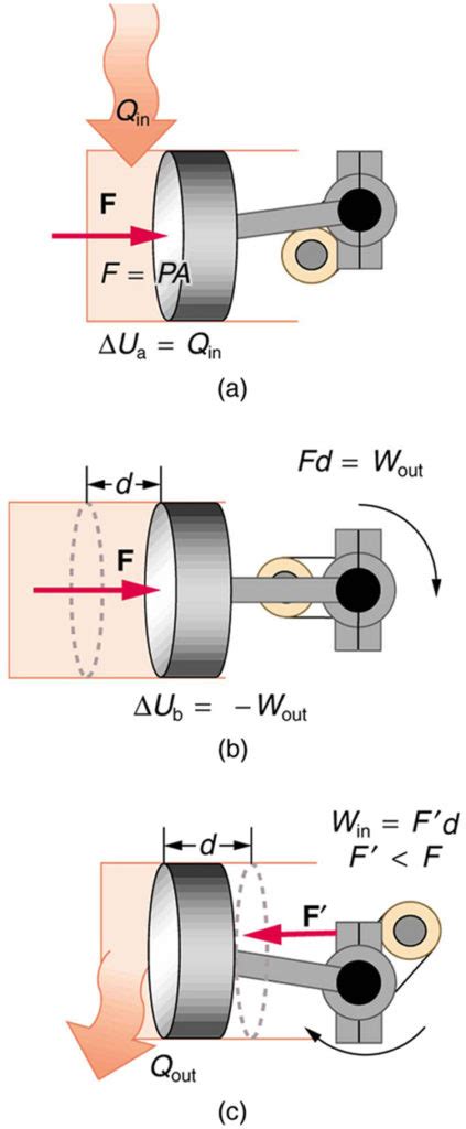 The First Law of Thermodynamics and Some Simple Processes | Physics