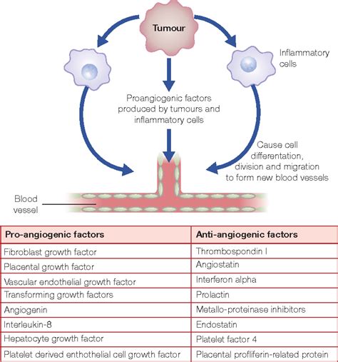 Figure 4.5 from 4 Mechanisms of anticancer drugs | Semantic Scholar