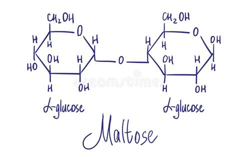 Maltose Molecule Stock Illustrations – 67 Maltose Molecule Stock Illustrations, Vectors ...