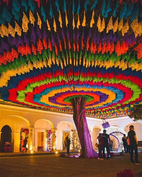 The colourful tree of Mitla, Oaxaca, Mexico | STREET ART UTOPIA