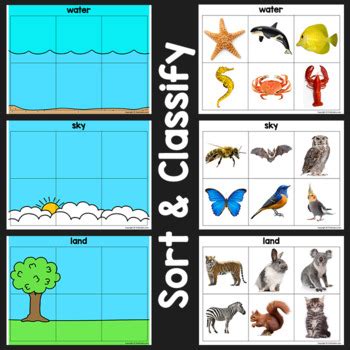 Animals Land Water Air Sort & Classify by Karen Cox - PreKinders