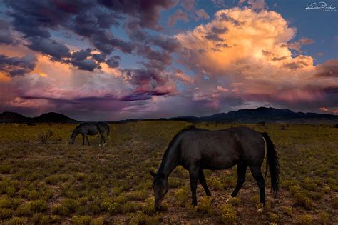 Wild Horse Sunset II | Klaus Priebe Photography