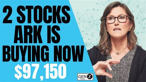 2 Growth Stocks Ark Invest Is BUYING NOW! Cathy Wood's Recent BUYS ...