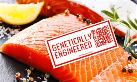 GMO AquAdvantage salmon labeling questions resurface - Genetic Literacy Project